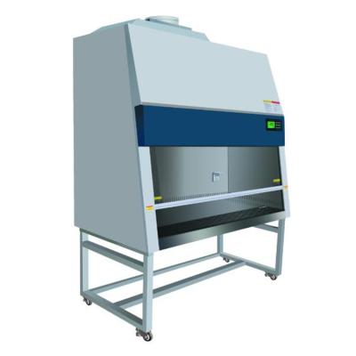 China Industrial CE Standard Lab Class A2 Biosafety Cabinet for sale