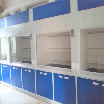 China ISO Standard Industrial Clean Room Industrial Fume Hood For Lab for sale