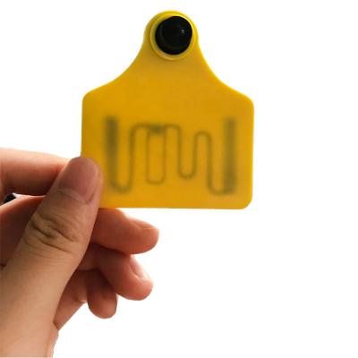 China Plastic Rfid tag cattle RFID ear tag for cattle UHF rfid ear tag for sale