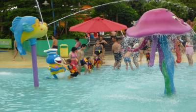 China Fiberglass Fish Spray Park Water Equipment For Children / Kids Amusement Water Park for sale