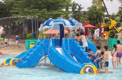 中国 おかしい子供水公園の運動場のスライド 販売のため