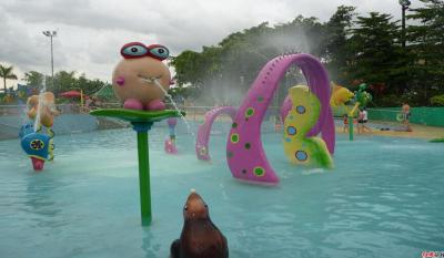 Cina Il cartone della carpa scherza lo spruzzo del campo da giuoco dell'acqua, gioco dell'acqua del campo da giuoco bambini/dei bambini in vendita