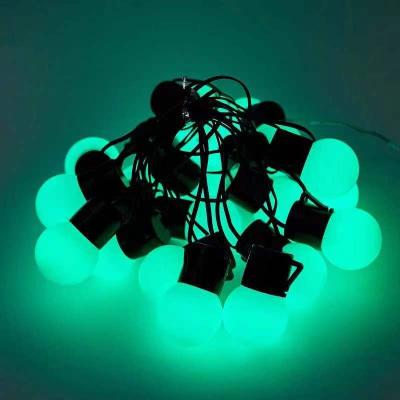 China Residential USB led string light G30 bulb frost RGB for sale