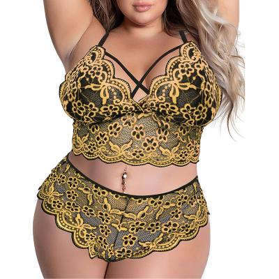 China Sexiest Size Bra Brief Sets Woman Plus Size Padded Cup And Underwear Sets Large Cup Size Padded Bra And Panty Bra Sets for sale