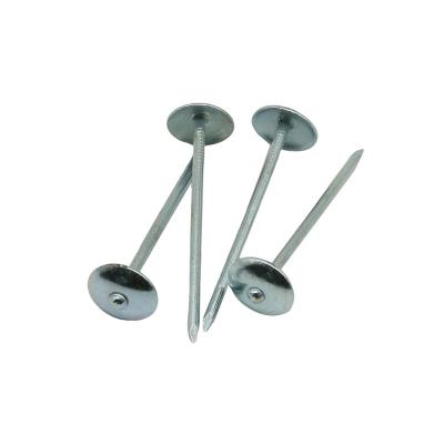 China Umbrella Head Manufacturers High Quality Cheap Price Hot Selling Durable Electro Galvanized Corrugated Umbrella Nails for sale