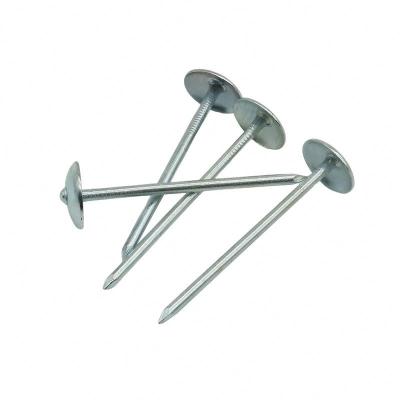 China Umbrella Head Manufacturers High Quality Cheap Price Hot Selling Durable Electro Galvanized Corrugated Umbrella Nails for sale