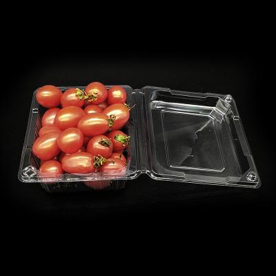 China Disposable Plastic Fruit Clamshell Box Disposable Plastic Clear PET Box for sale