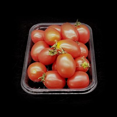 China Eco-friendly Disposable Pet Disposable Plastic Fruit Tray Fruit And Vegetable Packing Tray for sale