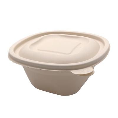 China Good Quality Biodegradable Food Containers Biodegradable Lunch Box With Lid for sale