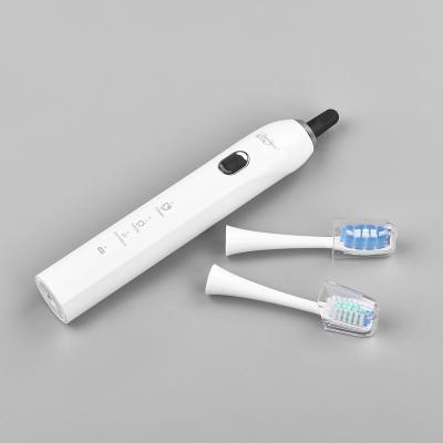 China Factory Wholesale USB Rechargeable 2022 Sonic Electric Toothbrush china for sale