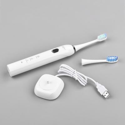 China USB Rechargeable Eco-Friendly Mini Adult Auto Super Sonic Electric Toothbrush for sale