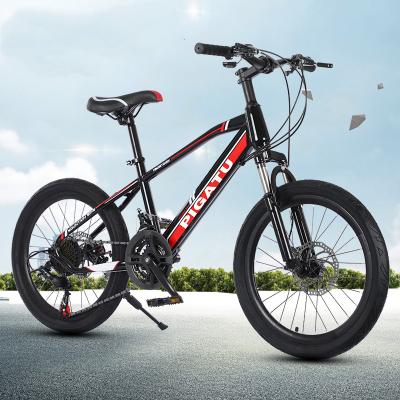 China Sports cycling china factory OEM 21 speed 26 inch mountain bicycle gift bike cycles for men mountain bikes for sale