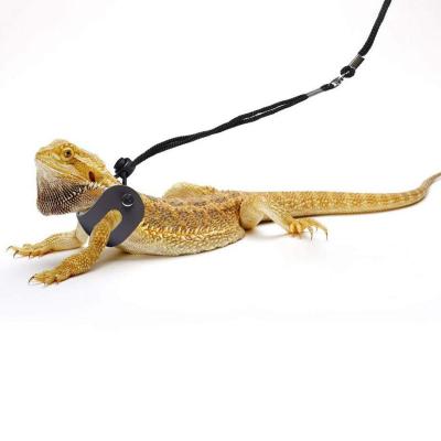 China Wholesale Customization Special Lizard Dragon Harness Small Pet Animals Bearded Leash With Bags for sale