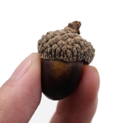 China CYKI Traditional Christmas Popular Items Dried Artificial Acorn For Christmas Tree Gifts for sale