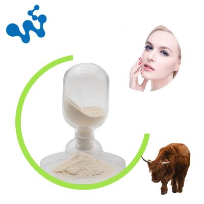 China 1 Pack Essential Absorbable Collagen Powder Essential Absorbable Collagen Collagen Peptide Protein Collagen Peptide Protein Powder Bovine Halal for sale