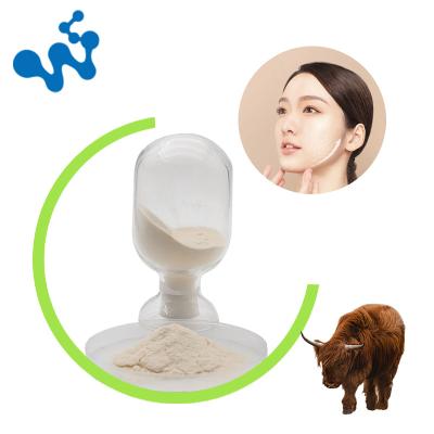 China 1 Bag Wholesale Extract Animal Protein Supplements Beef Collagen Food Grade Collagen Peptide Powder Hydrolyzed Bovine Collagen for sale