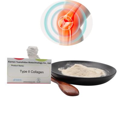 China Type II Collagen Peptide Chicken Hydrolyzed Collagen Powder Anti Aging Skin Whitening And Joint Care for sale