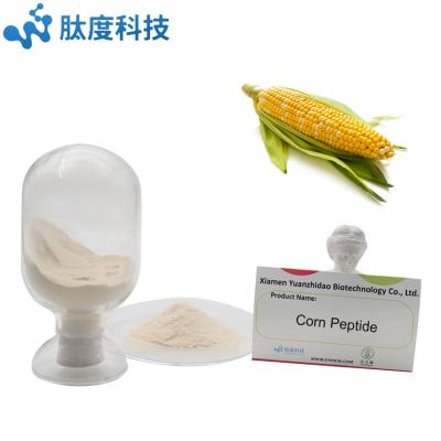 China High Quality Beverage Nutrition Supplement Corn Extract Peptide Protein Powder for sale