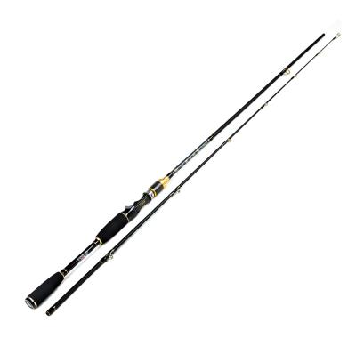 China Cheap Price Carbon FTK Whosale 2 Sections Lure Fishing Rod Carbon Fiber Rod Fishing Pole for sale