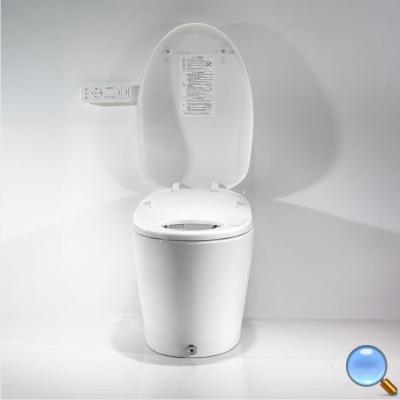 China Automatic Operation Z60 RF Remote Control Smart Toilet Heated Electric Bidet Seat Without Water Tank for sale