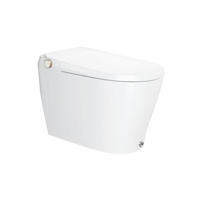 China Automatic Operation IKAHE DC70 Smart Sanitary Ware Bathroom Tolet Intelligent Ceramic Toilet Seat Bidet for sale