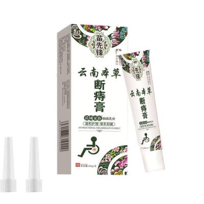 China 20g General Purpose Hemorrhoid Ointment Crack Anal Plaster+2 Heads Medical Anal Crack Pain Relief Internal And External Pain Relief Cream Chinese Painkiller for sale