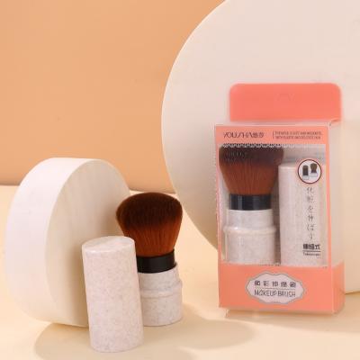 China Angular Blush Yousha Wholesale Custom Elastic Logo OEM Makeup Brushes Yc050 Mini Powder Brush Makeup Portable Nylon Hair Makeup Brushes for sale