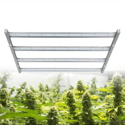 China Seed Starting 2021 New LED Grow Light 1000W Horticulture Led Grow Lights Sunlike Led Grow Light for sale