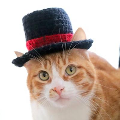 China Wholesale Price Viable Cat Knit Magic Black Top Hat And Cap Top For Cats for sale