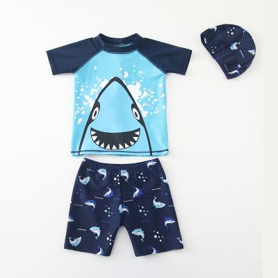 China Boys Swimming Trunks Shark Print Children's Breathable Swimwear Kids Boys 3 Piece Short Sleeves Cap Short Pants Boys Beach Swimwear for sale