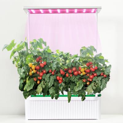 China Large Smart Indoor Hydroponic Growing Lights Easily Assembled LED Systems Grow Easy Assembled Garden Kit Mini Greenhouse Box Greenhouse for sale