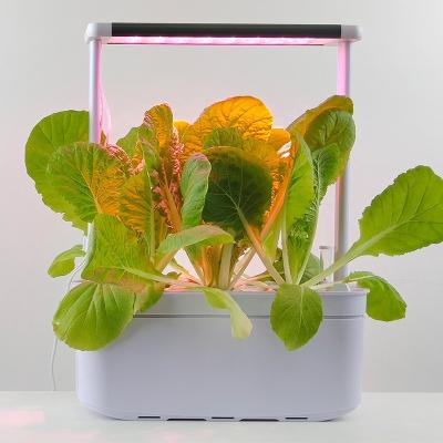 China Europe Hydroponic Grow Pots Garden Air Smart Planter Plastic Indoor Self Watering Plant Flower Pots Vertical Planter for sale