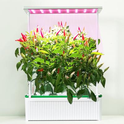 China Seed Starting Smart Aeroponic Large Indoor Aquarium Light Self Growing Systems Self Water Pump Hydroponics System for sale