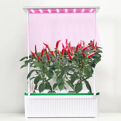 China Seed Starting Large Smart Indoor Hydroponic Growing Systems Hidroponia Novedades Led Grow Light Bar Kit Hidroponia Growing System for sale