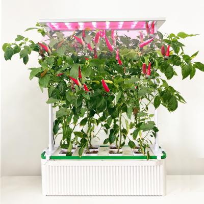 China Seed Starting Large Smart Indoor Hidroponia Lm301B Samsung Led Grow Light Aluminum Housing Grow Indoor House Light Katchy Growers for sale