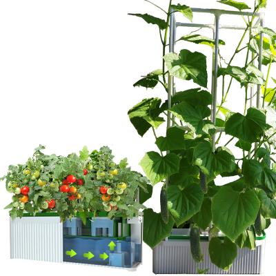 China Greenhouse Hydroponics System Large Container Vertical Indoor Garden Fit Grow Tent Multi Grow DWC Systems Irrigation Hydroponics Hydroponics Growing Equipment for sale