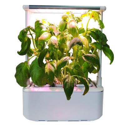 China Europe Hydroponic Vertical Grow Smart Indoor Flower Herb Garden Plastic Gardening Pots planters box garden maceta for sale