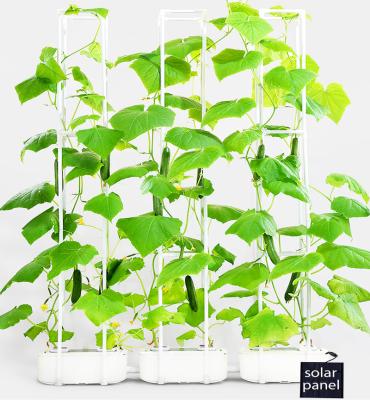 China Greenhouse Hydroponics Smart System Vertical Growing Herbs Tomato Cucumber Pepper Agriculture Tower Hydroponic System Indoors for sale