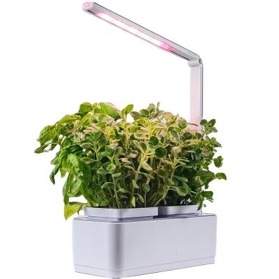 China Europe Pot Garden Vertical Set Indoor Smart Planters Hydroponics Grow Lighting System Pot Riego Maceta Automatico for sale