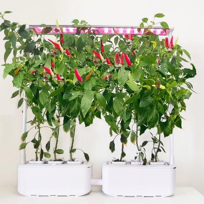 China Greenhouse Hydroponics System Large Double Basin Garden Planter Balcony Smart Plant Vegetable Grow Indoor Growing System Lightweight Smart Hydroponic Systems for sale