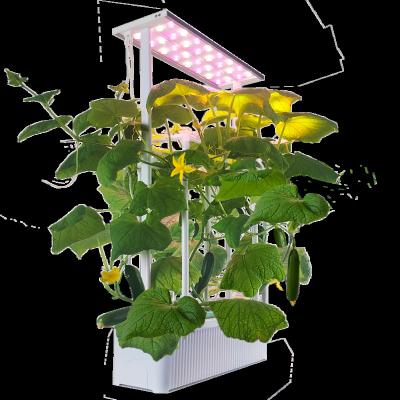 China Greenhouse Hydroponics System Systems Strawberry Equipment Hydroponic Growing Kit Tomato Hydroponic System Home Indoor Kitchen for sale