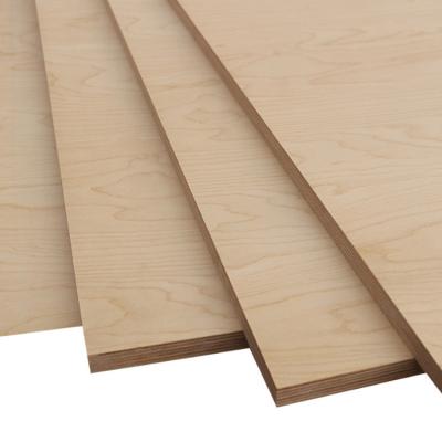 China Contemporary Wholesale Price Building Plywood Sheet Furniture Birch Hardwood Plywood for sale