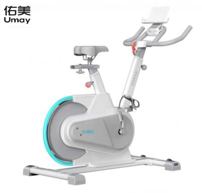 China Professional Home Use Magnetic Resistance Flywheel Exercise Spinning Indoor Cycling Bike for sale