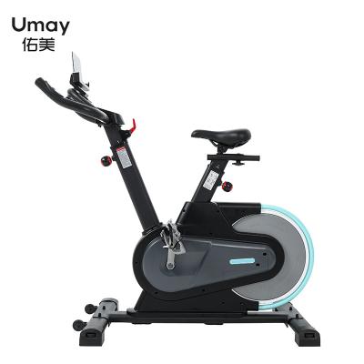 China Universal Spinning Indoor Ultra-quiet Magnetic Bike Home Use With Flywheel 6.5kg for sale