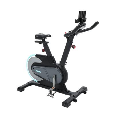 China Universal Exercise 6.5kg High Quality Indoor Home Flywheel Spinning Bike Made in China for sale