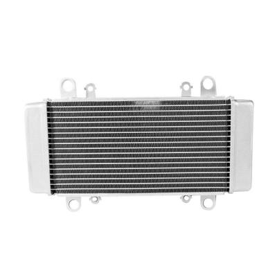 China Polypropylene Polypropylene Fit For Ninja 300 2013-2017 EX300 300 Motorcycle Radiator Aluminum EX Coolers Cooling 2014 2015 2016 for sale