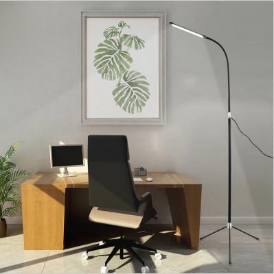 China Modern USB Plug In Living Room Bedroom Floor Lamp Single Tripod Vertical Adjustable LED Floor Lamp for sale