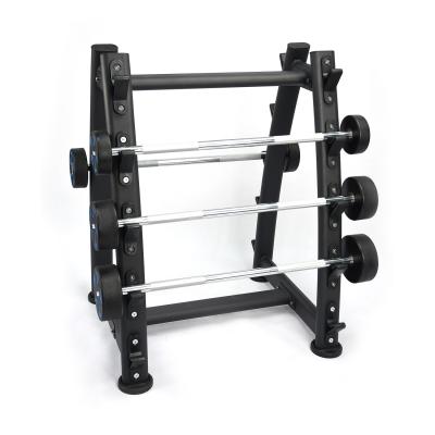 China Storage Barbell Fitness Gym Equipment 10 Pairs Vertical Rack Rack Storage Barbell for sale