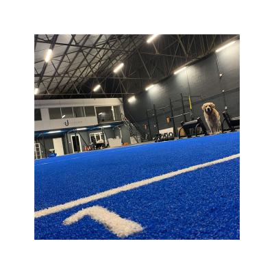 China Indoor Gymnasium Turf Sled Training In Home And Commercial Gyms Non-Slip Artificial Turf Gym Flooring Synthetic Turf for sale