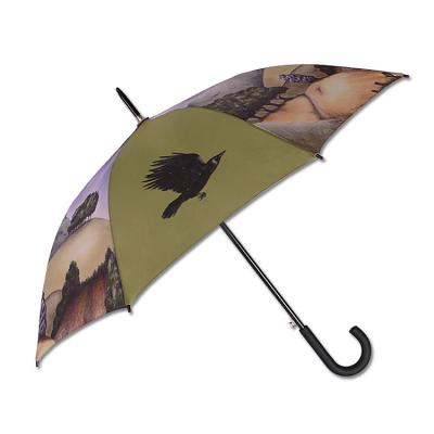 China All in 1 golf umbrella for sale